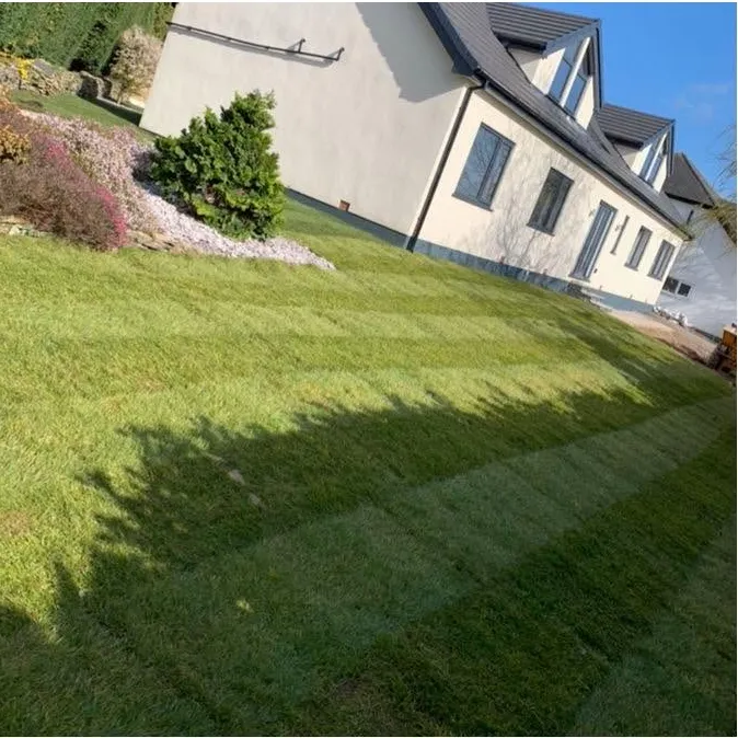 Freshly laid turf on a sloped front garden